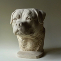 Rottweiler - projekt statuetki dla Arte Perruno